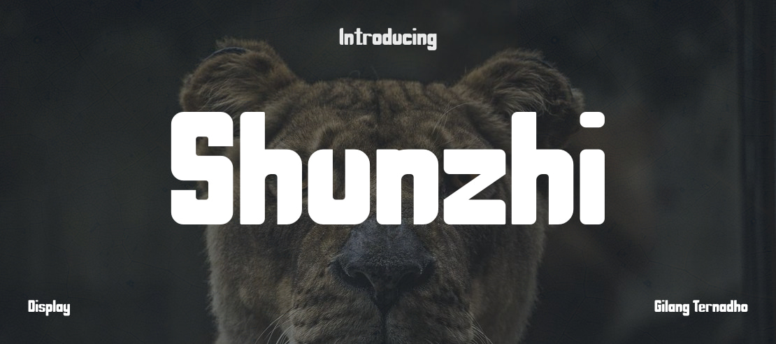 Shunzhi Font