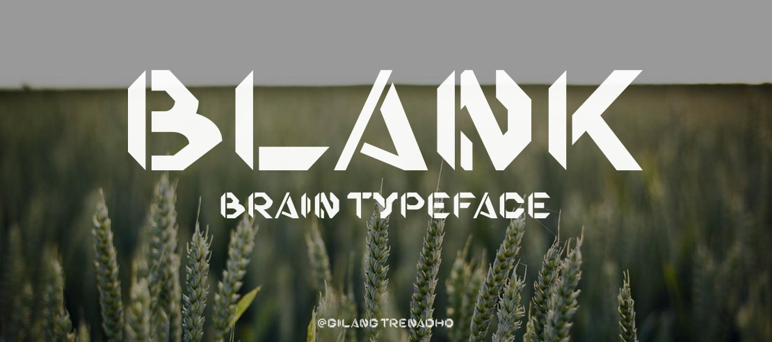 BLANK BRAIN Font