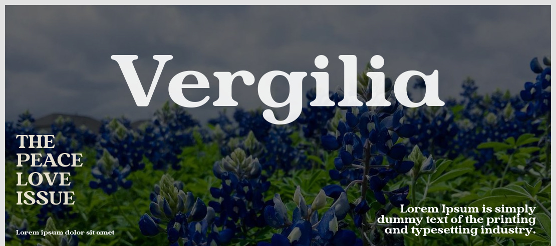 Vergilia Font