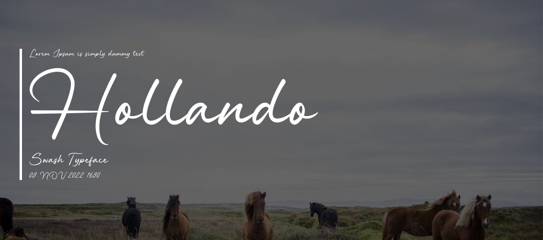 Hollando Swash Font