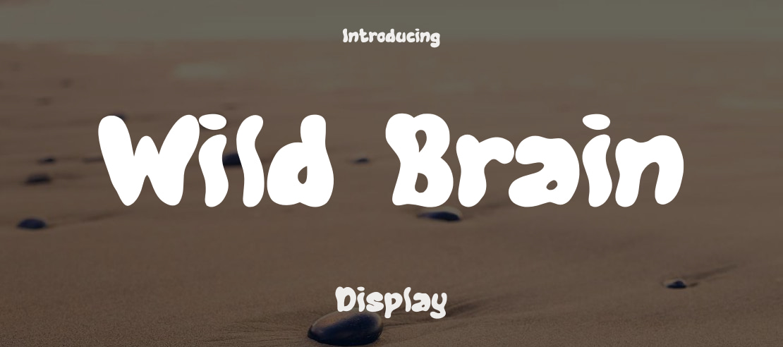 Wild Brain Font