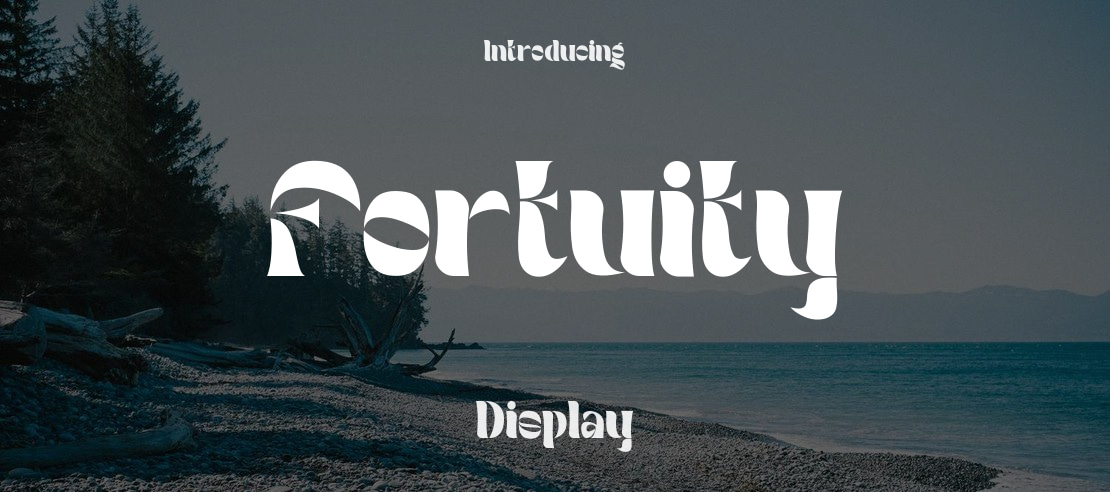 Fortuity Font