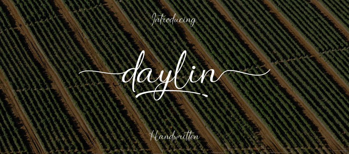 daylin Font