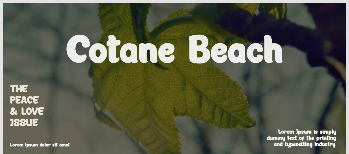 Cotane Beach Font